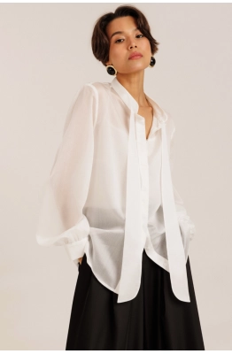 Блуза DILIA 6.006  Блуза DILIA 6.006