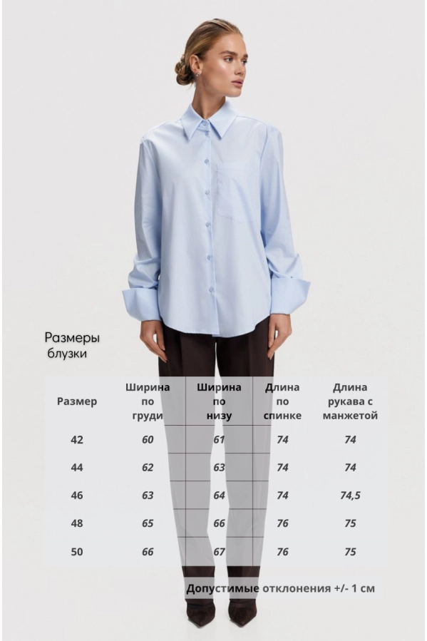 Блуза DEVITA 6055 голубой Блуза DEVITA 6055 голубой