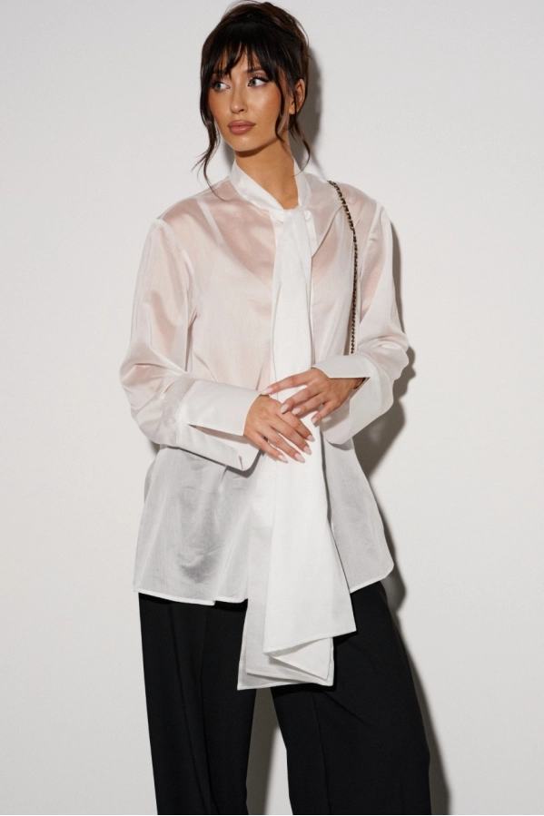 Блуза ANNETE A2382